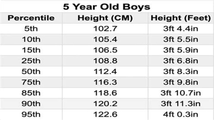 Age, Height, Weight, Husband, And Early Beginnings