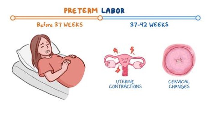 Birth & Pre-delivery [2024 Update] ·