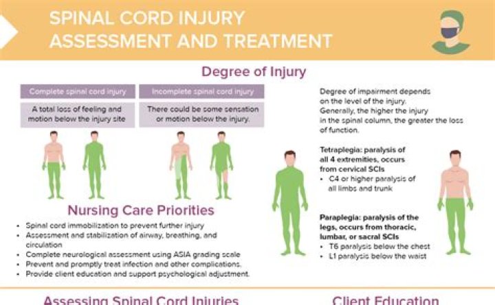 Discoveries And Insights For Spinal Cord Injury