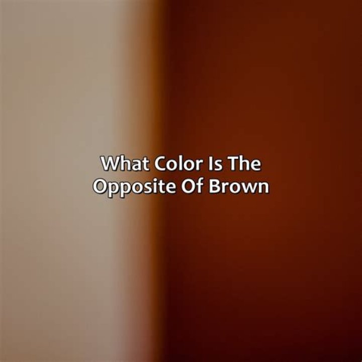 Discovering The Opposite Color Of Brown