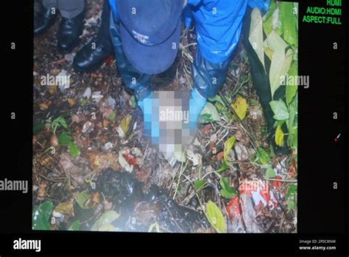 The Casey Anthony Case Unraveled