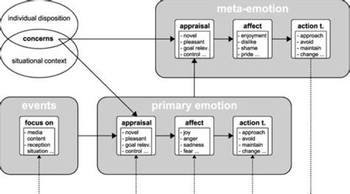 Unlock The Secrets Of Emotion Regulation: Discoveries From Phillipa Coan