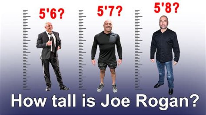 Unveiling Joe Rogan's Height: Discoveries And Insights