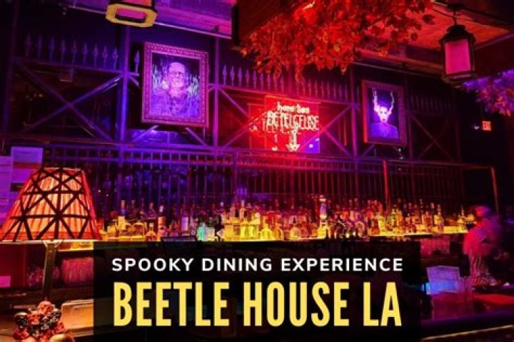 Unveiling The Enchanting World Of Beetle House LA: A Photographic Journey