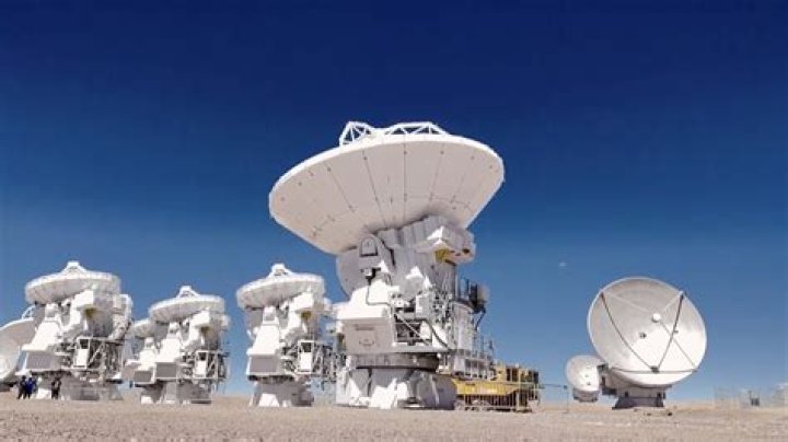 Unveiling The Secrets Of Alex Fine's Height: Discoveries And Insights